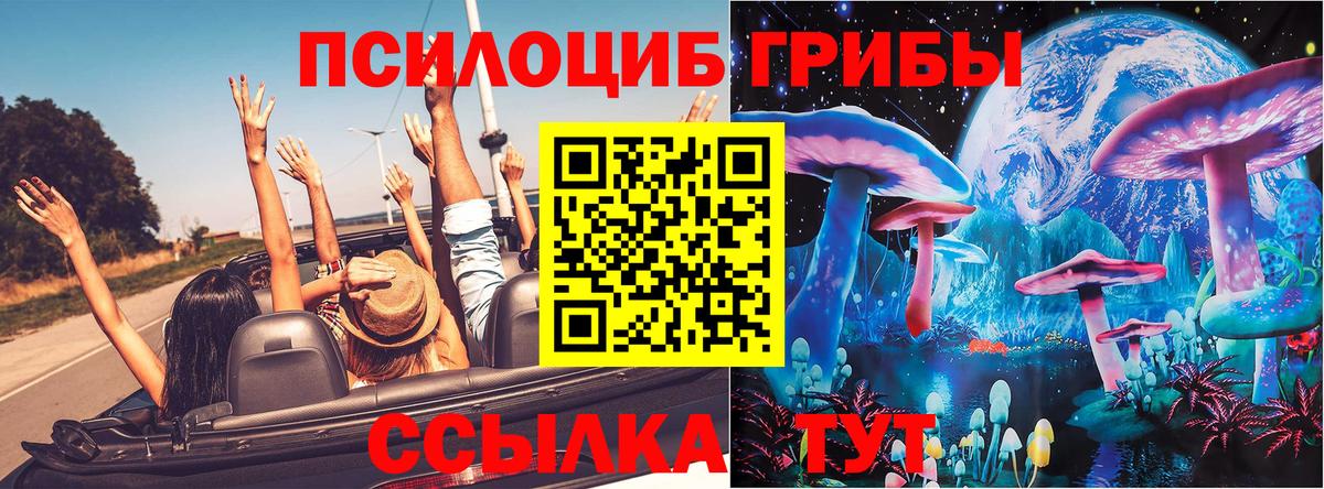 Галлюциногенные грибы мухоморы Октябрьский