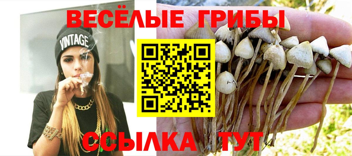Псилоцибиновые грибы Psilocybine cubensis  Вход с VPN  Октябрьский 